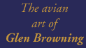 Avian Art gallery